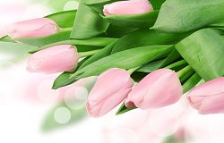 Women and Spring… when life blossoms