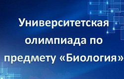 Университетская олимпиада. Предварительный этап