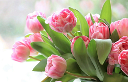 Праздник весны и красоты в Гомельском медуниверситете  