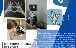От теории к практике: как прошло первое медицинское лето у студентов МДФ