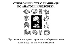 Открой мир анатомии: отборочный этап олимпиады уже близко!