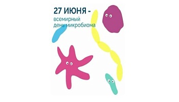 Без них не будет никакой жизни на Земле. Им с недавних пор посвящен целый день в календаре